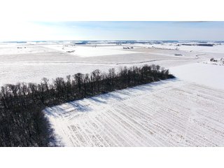 Property photo 29 - OHIO REAL ESTATE AUCTION - 202+/- ACRES IN 3 TRACTS IN VAN WERT COUNTY, OHIO